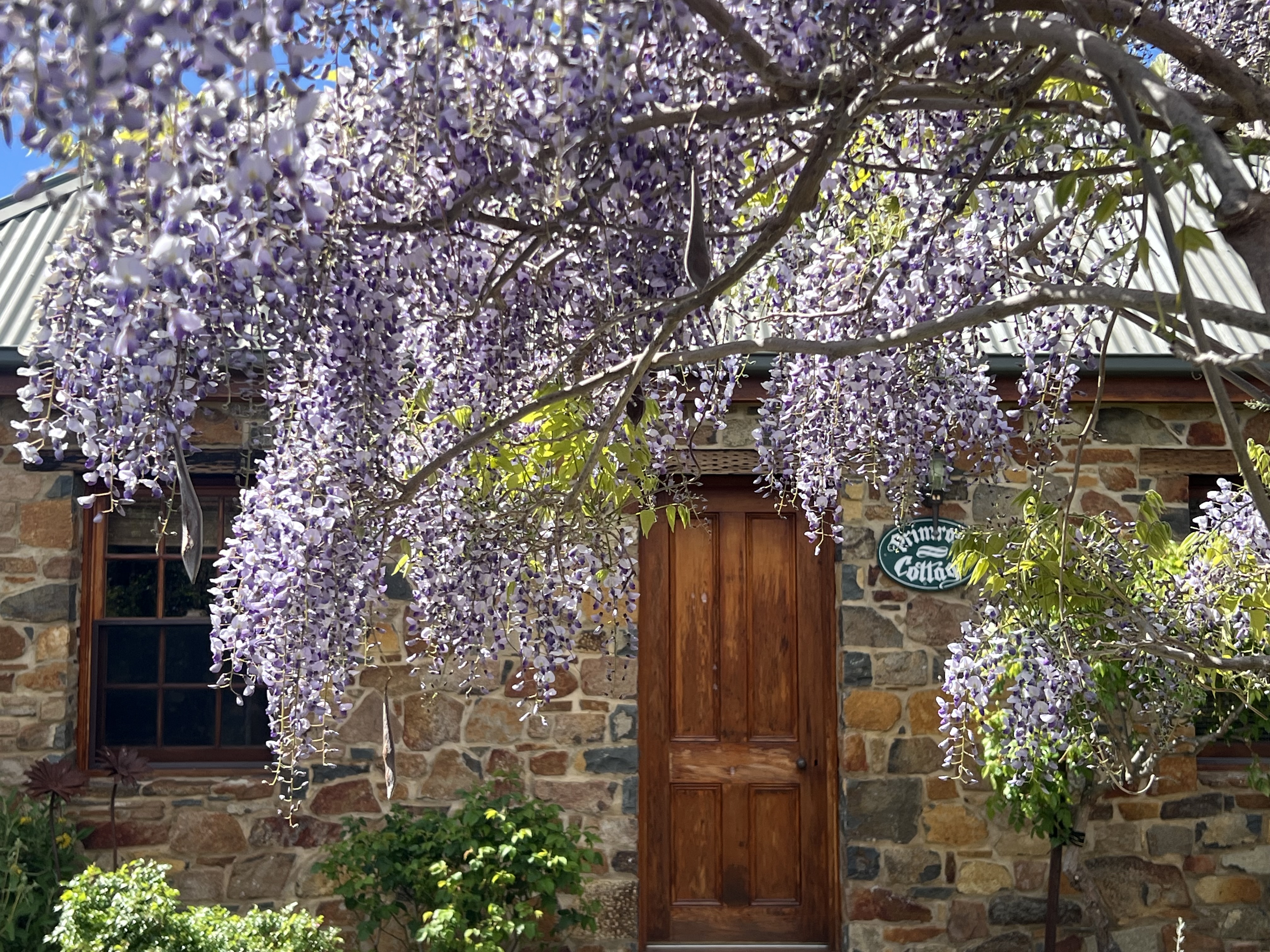 Wagners Cottages photo 8
