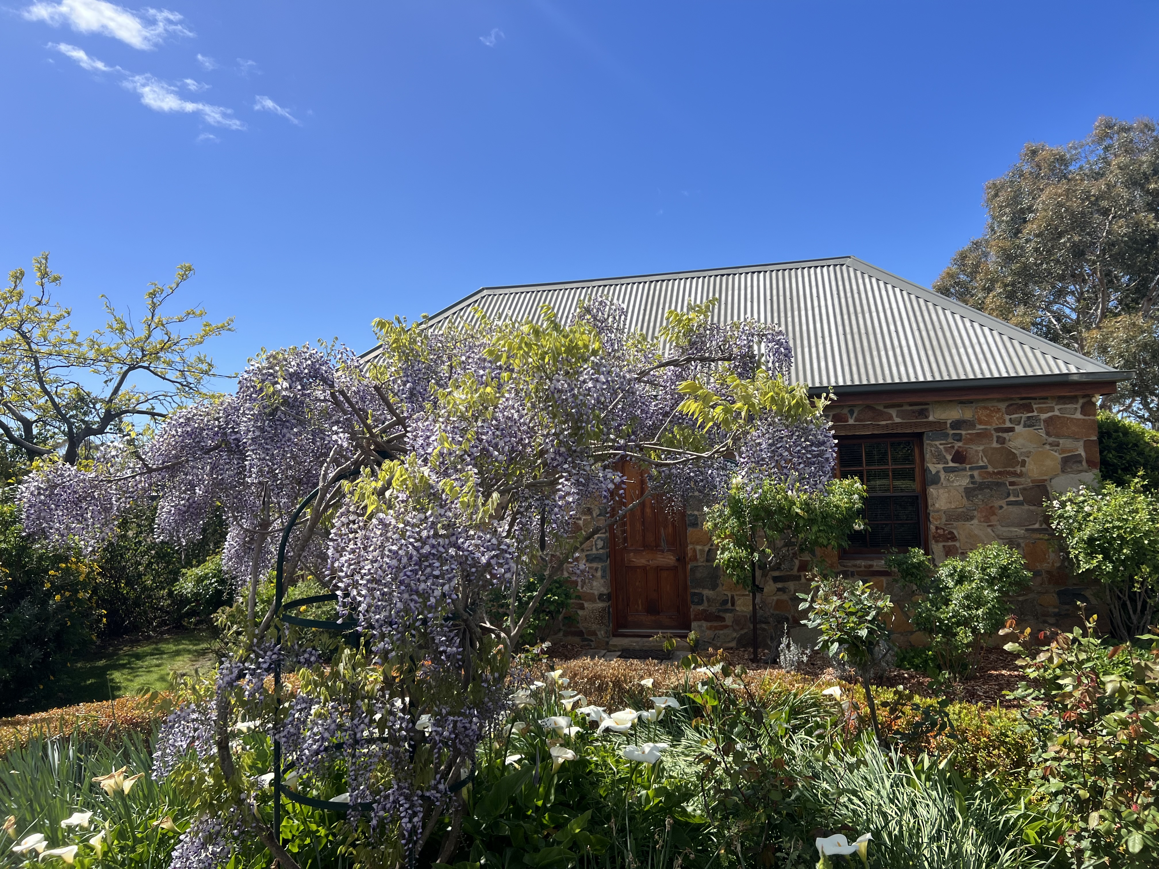 Wagners Cottages photo 11
