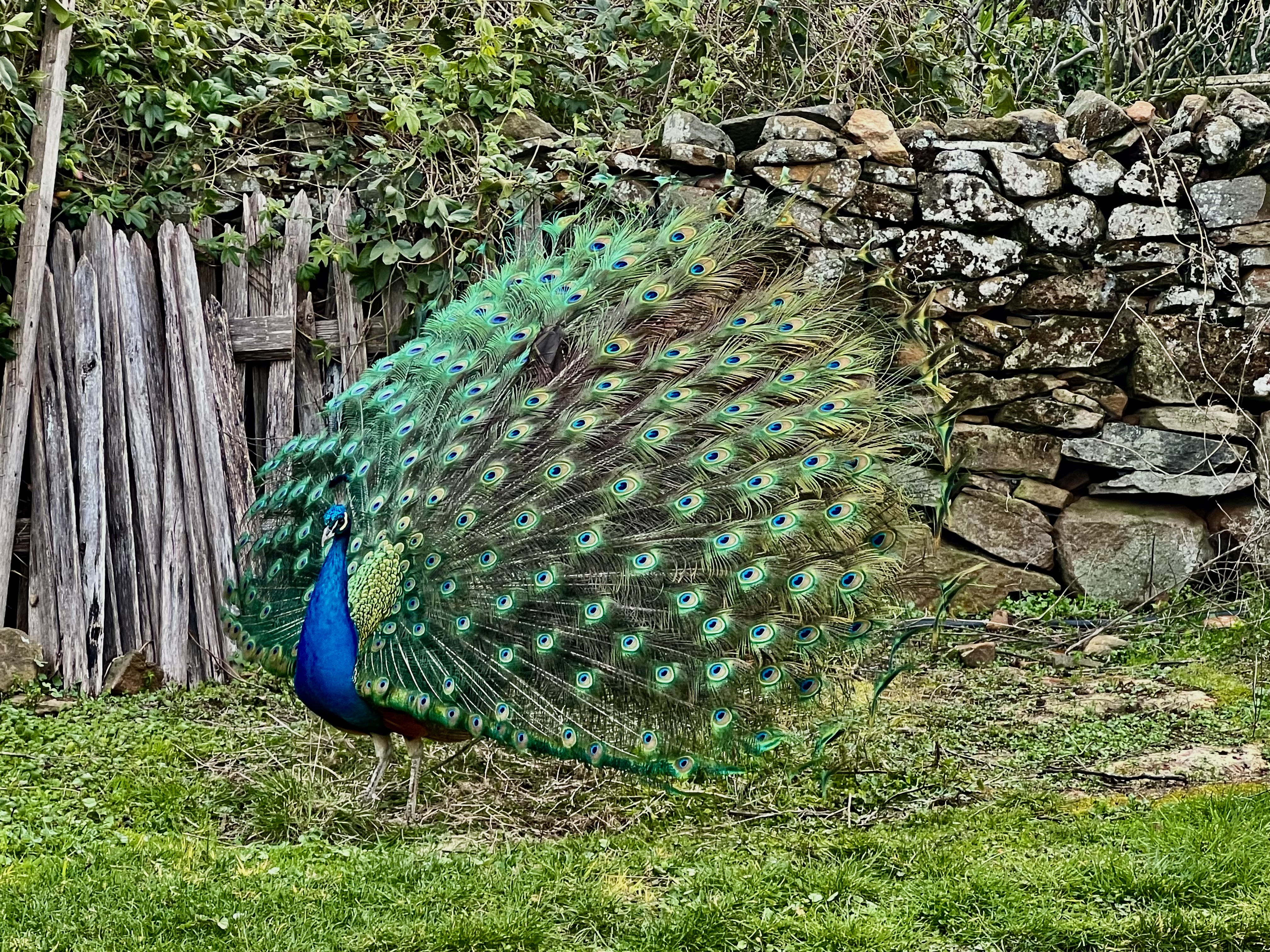 Wagners Cottages photo 19