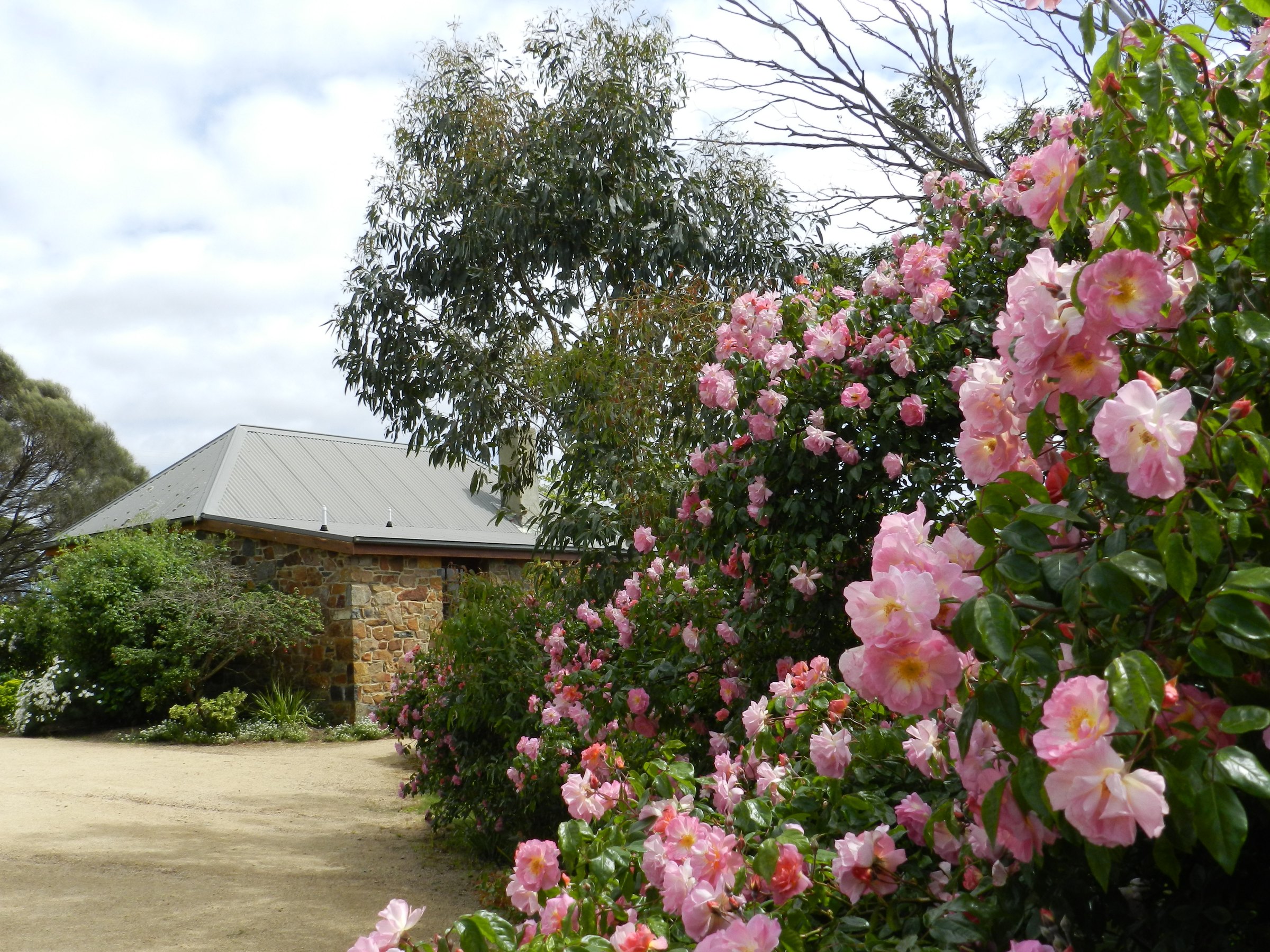 Wagners Cottages photo 2