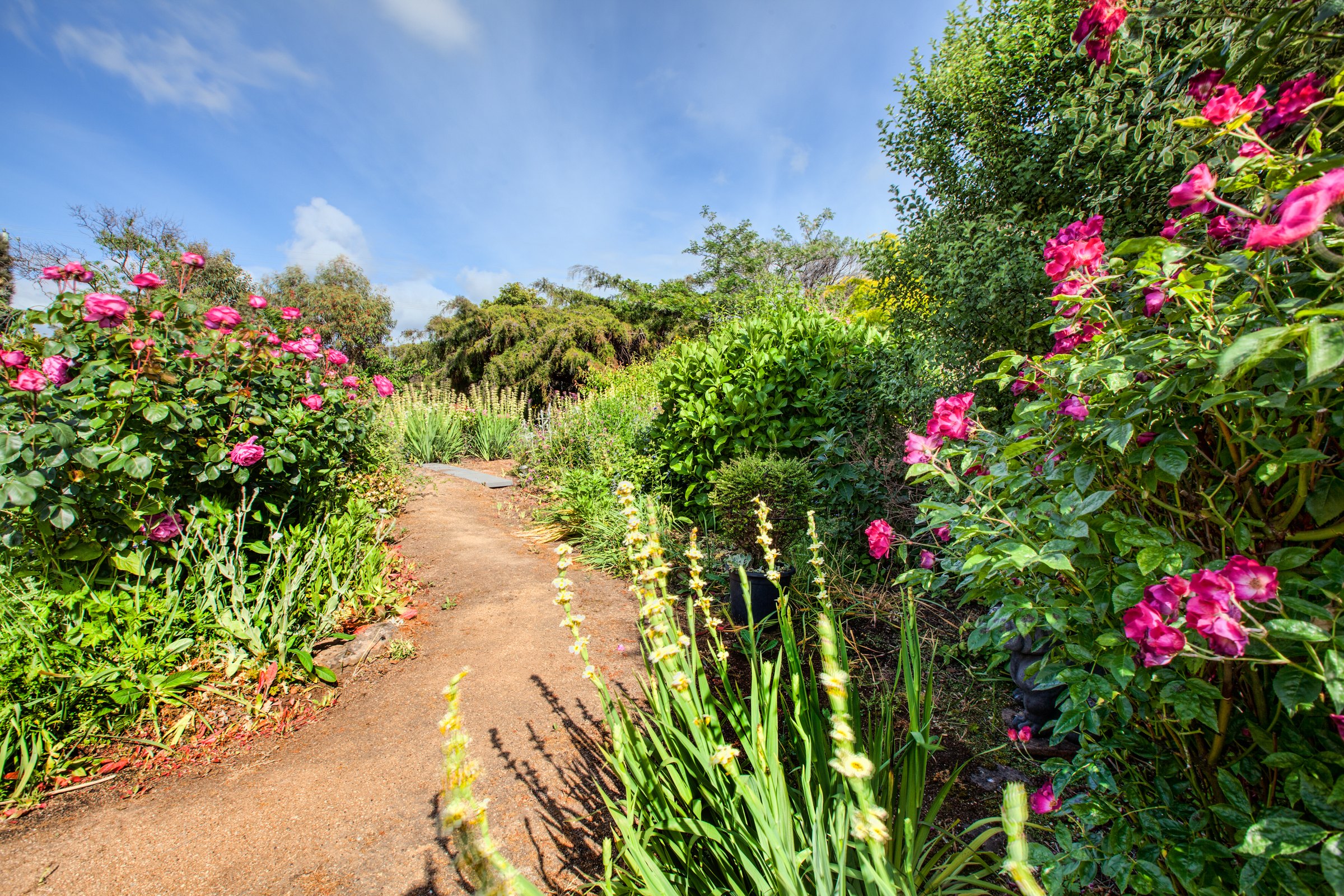 Wagners Cottages photo 6