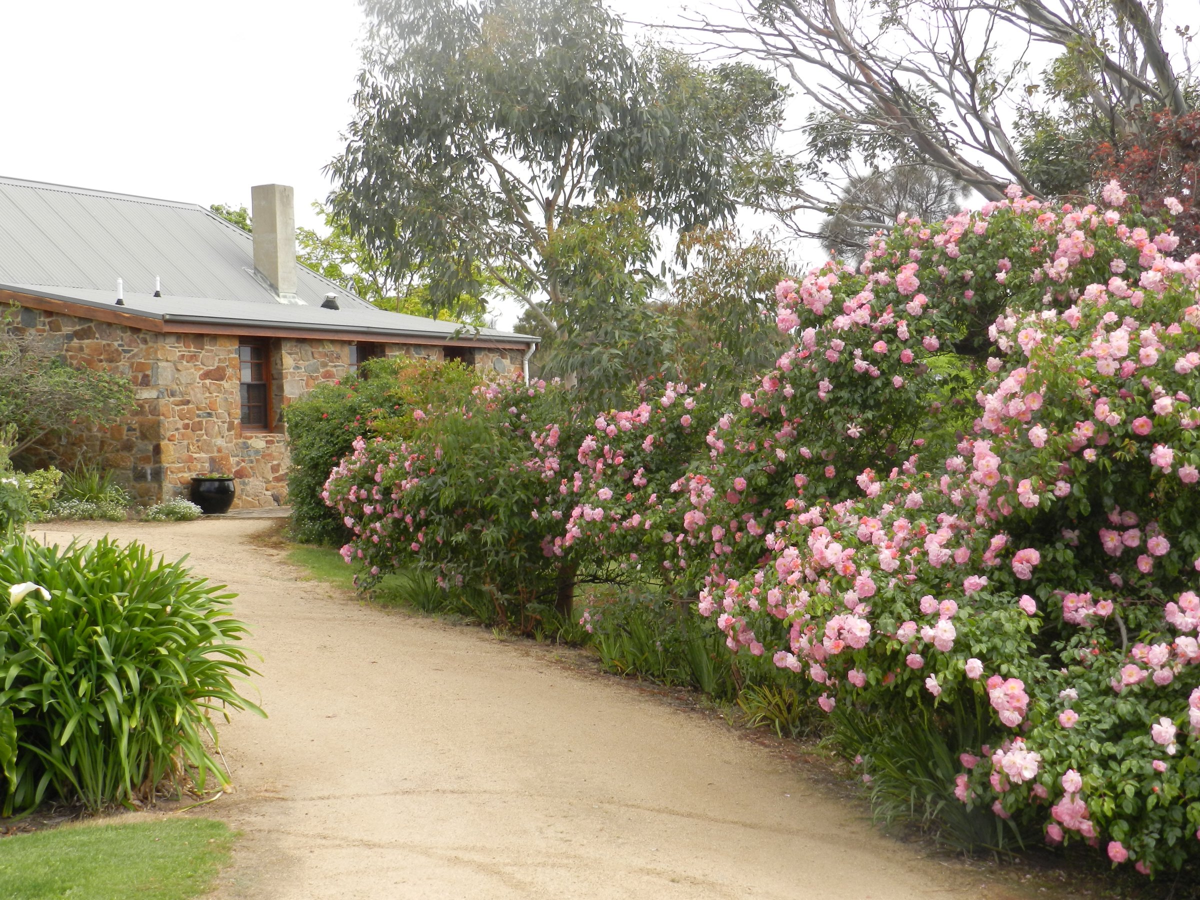 Wagners Cottages photo 3