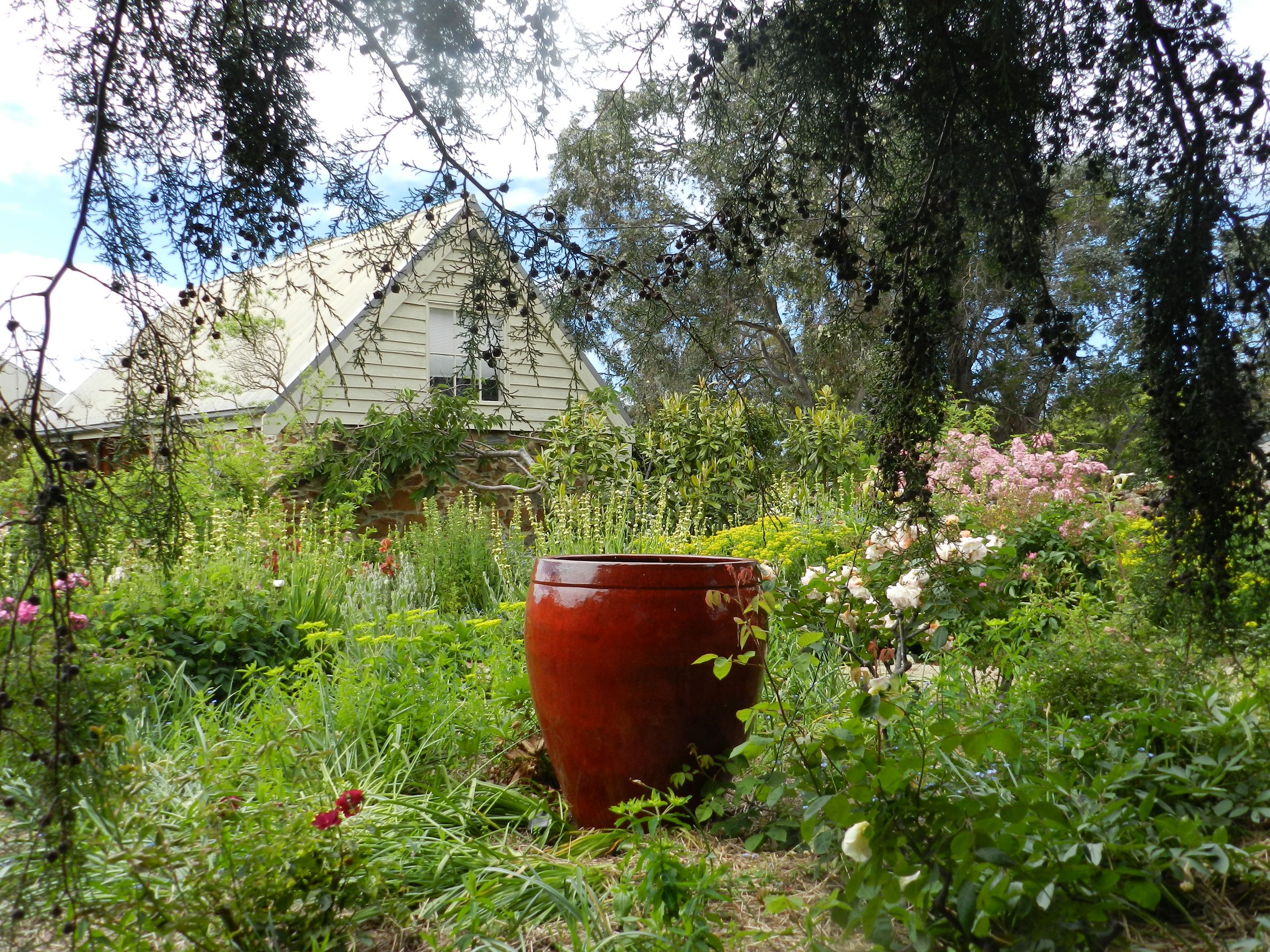 Wagners Cottages photo 4