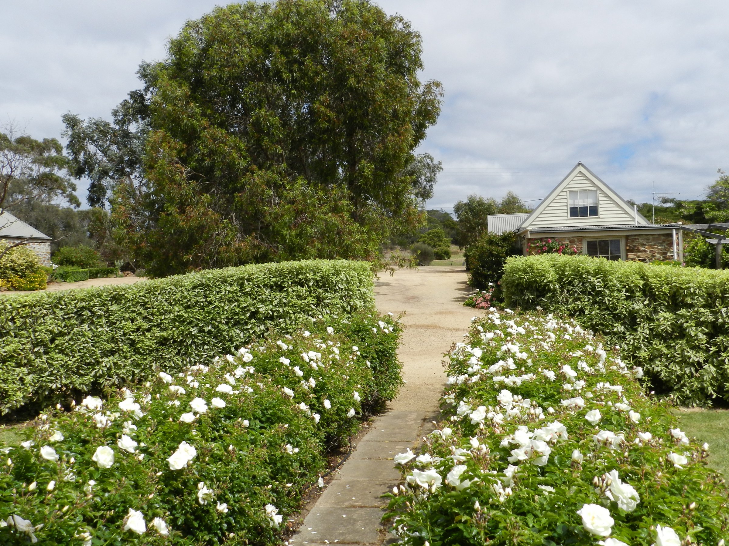 Wagners Cottages photo 5